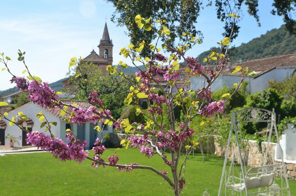 منزل الضيف Alájar  في Casona Del Duende المظهر الخارجي الصورة